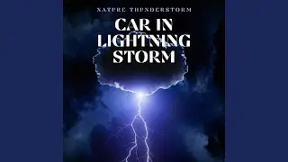 Rain on Car Roof - Forest Thunderstorm
