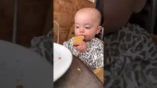 What my 8 month old baby eats in a day
