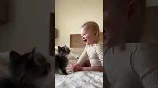 laughing baby and meowing cat