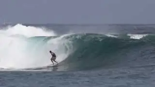 6 days in indo , Shaun Green