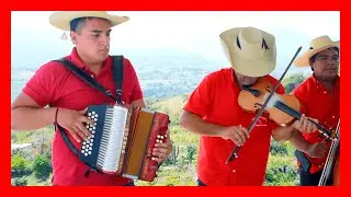Y Ellos Son... Los Quevedos de Michoacán !!!