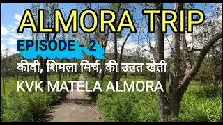 जन्नत की सैर || कृषि विज्ञान केंद मटेला - अल्मोड़ा || Almora city tour ||