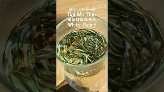 Panxi Top Grade Bai Mu Dan-White Peony #whitetea #chinesetea #tea #tealover