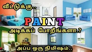 வெறும் ₹.𝟲 ரூபாய்க்கு (Material+Labour) உடன் 𝗣𝗔𝗜𝗡𝗧𝗜𝗡𝗚 | Distemper Vs Emulsion Vs Enamel paint