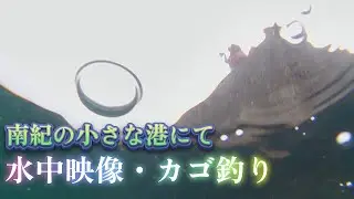 南紀の小さな港で水中カメラを遠投したら磯の王者が！【カゴ釣り#16】VOICEVOX
