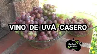 Como hacer vino de uva casero muy fácil // paso a paso