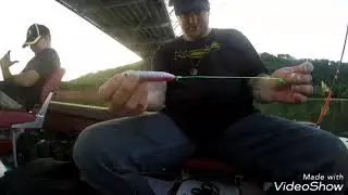 Fishing with Demon Dragons!!!