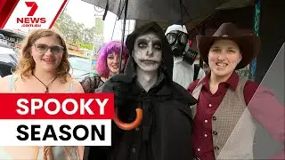 Fright night in Melbourne - What families are paying to get in on the act for Halloween | 7NEWS