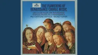 Dufay: Motets: Flos florum