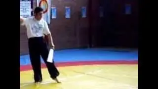taichi chen doble espada
