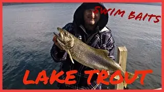 Lake Trout Fishing in the Fall- Catching Lake Trout with Swim Baits from Shore