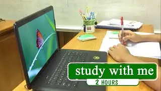 STUDY WITH ME | 2 HOURS  | Background noise, Writing Sounds, No break, No Music