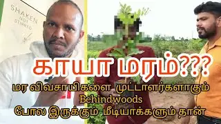 எட்டு வருடத்தில் இரண்டு டன் பல லட்சம் ரூபாய் காயா மரங்கள்|African #khayasenegalensis|khaya mahogany