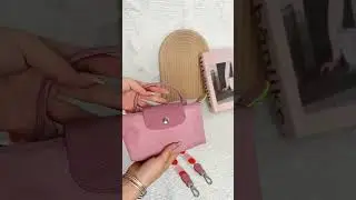 Longchamp le pliage pouch organizer
