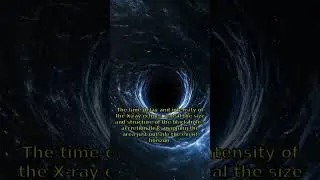 Black Hole Echoes: Cosmic X-Ray Signals