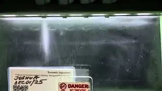 2004 Subaru WRX STi ID1050X injectors spray pattern test at Toronto Injectors