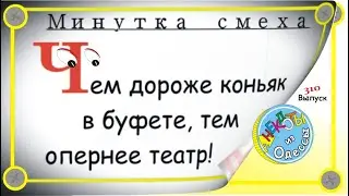 Минутка смеха Отборные одесские анекдоты Выпуск 310