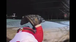door cam catches air mattress bandit stealing Santa