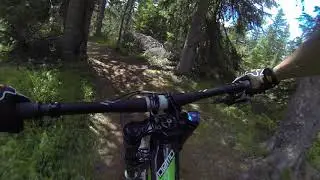 Palù Bike Park Valmalenco - Boletus Friridis