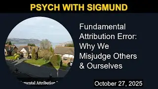 Fundamental Attribution Error: Why We Misjudge Others & Ourselves   | Psych with Sigmund