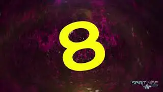 Spirit Vibe 8-Count Track 2019 - 2020