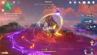 1 million dmg eula record