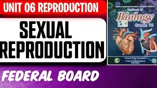 Sexual Reproduction | Class 10 Biology | Unit 6 Reproduction | Federal Board
