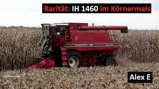 Echte Rarität! 40 Jahre alter International Harvester 1460 Axial Flow Drescher in der Maisernte 2023