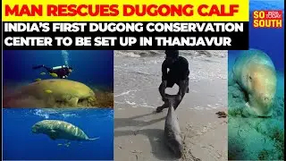 India's First Dugong Conservation Center to Come Up in Thanjavur | SoSouth