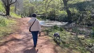 Cockington Walk