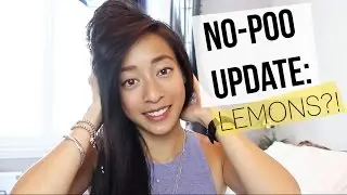 NO-POO UPDATE | Lemons?