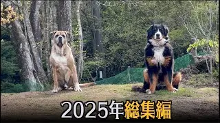多くの新入生や姪っ子との共同生活・・2025年総集編