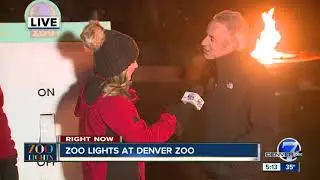 Zoo lights at the Denver Zoo