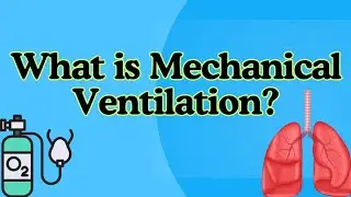 Basic Mechanical Ventilation Explained | ICU Basics For Nurses