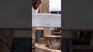 start to finish milling a slab from a new log  #hawaiiwood #wood #woodworkercentral #woodwork