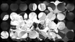 Herman van Veen & das Rosenberg Trio -  Sprich mit mir &hearts;