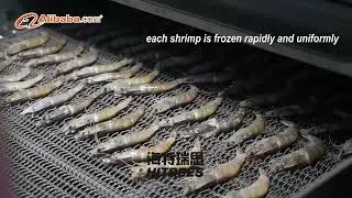 【HITREES】Tunnel Freezer for IQF Frozen Shrimp