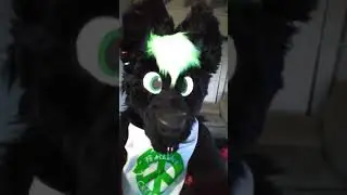 Impromptu Rant- Please Don't Be Rude To Fursuiters!