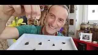 The Most Mysterious Mystical Crystal In The World  Ammolite
