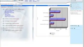 SAP BPC - Budgeting - Demo 1 - Developing an Initial Budget