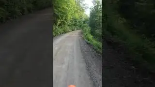 PA BDRx section 2 scenery part 1 #dualsport #ktm350 #ktm