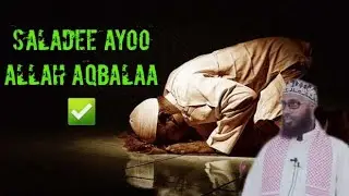 Saladee ayoo rabi aqbalaa | | sh.maxamed macalin abshir