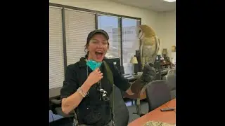 Katie cassidy with an owl #121