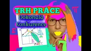 Trhy V&yacute;robn&iacute;ch Faktorů | Trh Pr&aacute;ce | Popt&aacute;vka Firmy - Dokonal&aacute; Konkurence | Popt&aacute;vka Firmy Po Pr&aacute;ci
