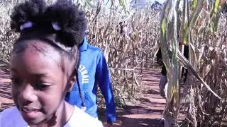 Kickin It with Shyane- Halloween Special!!