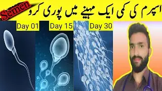 Increase Sperm Count Naturally In 30 Days | Semen Health Tips In Urdu #sperm #drtayyab