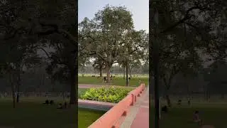 New Delhi Park 😮