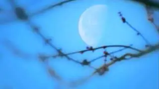 Dreaming - Thank You