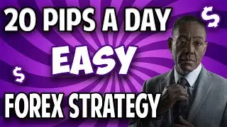 20 Pips a Day Forex Strategy