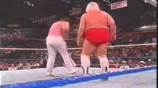 Playboy Buddy Rose Vs Tugboat WWF Wrestling Challenge